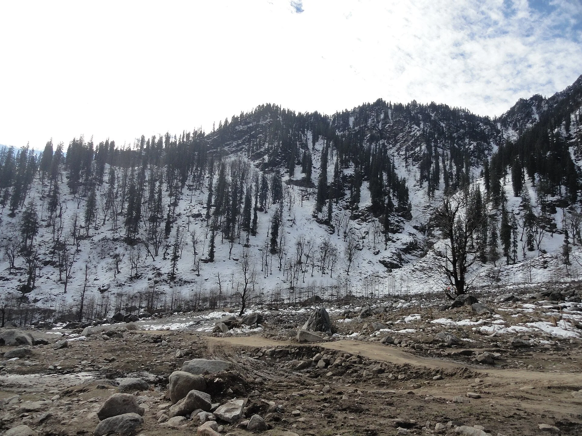Himachal Adventure